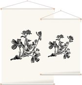 Sibbaldia Procumbens zwart-wit (Procumbent Sibbaldia) - Foto op Textielposter - 60 x 90 cm