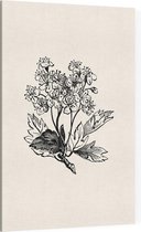 Meidoorn zwart-wit (Hawthorn) - Foto op Canvas - 100 x 150 cm