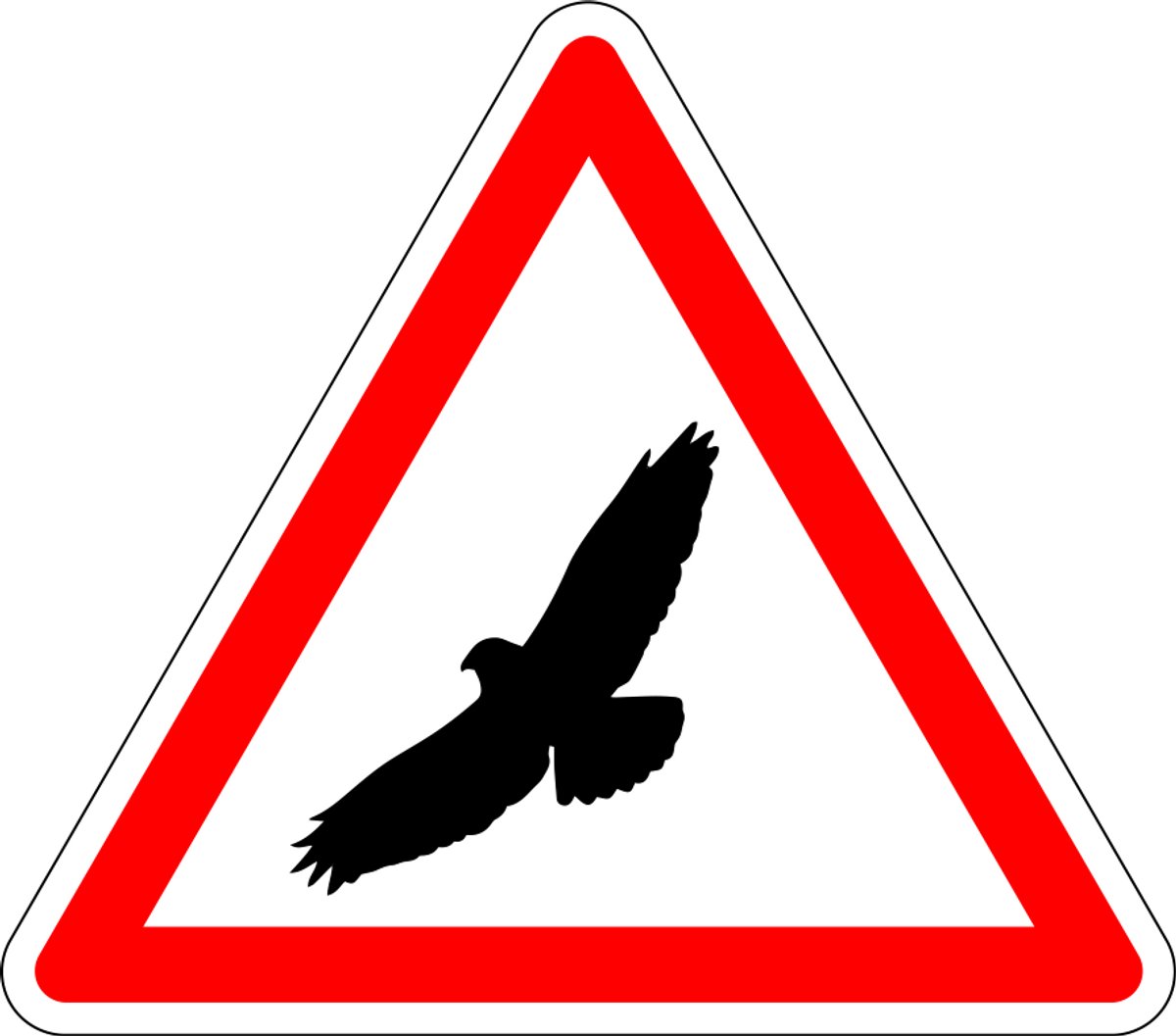 Pas op voor buizerd sticker 100 mm