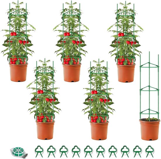 Plantensteun tomaten: soorten steunen en installatie