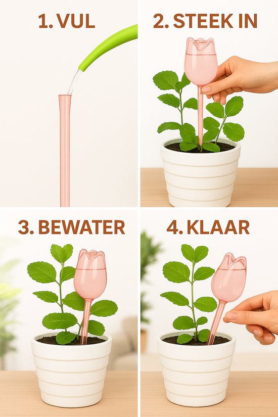 different types of blueberry plants Premier Blueberry Bush