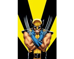 Omslag van Return Of Wolverine Omnibus