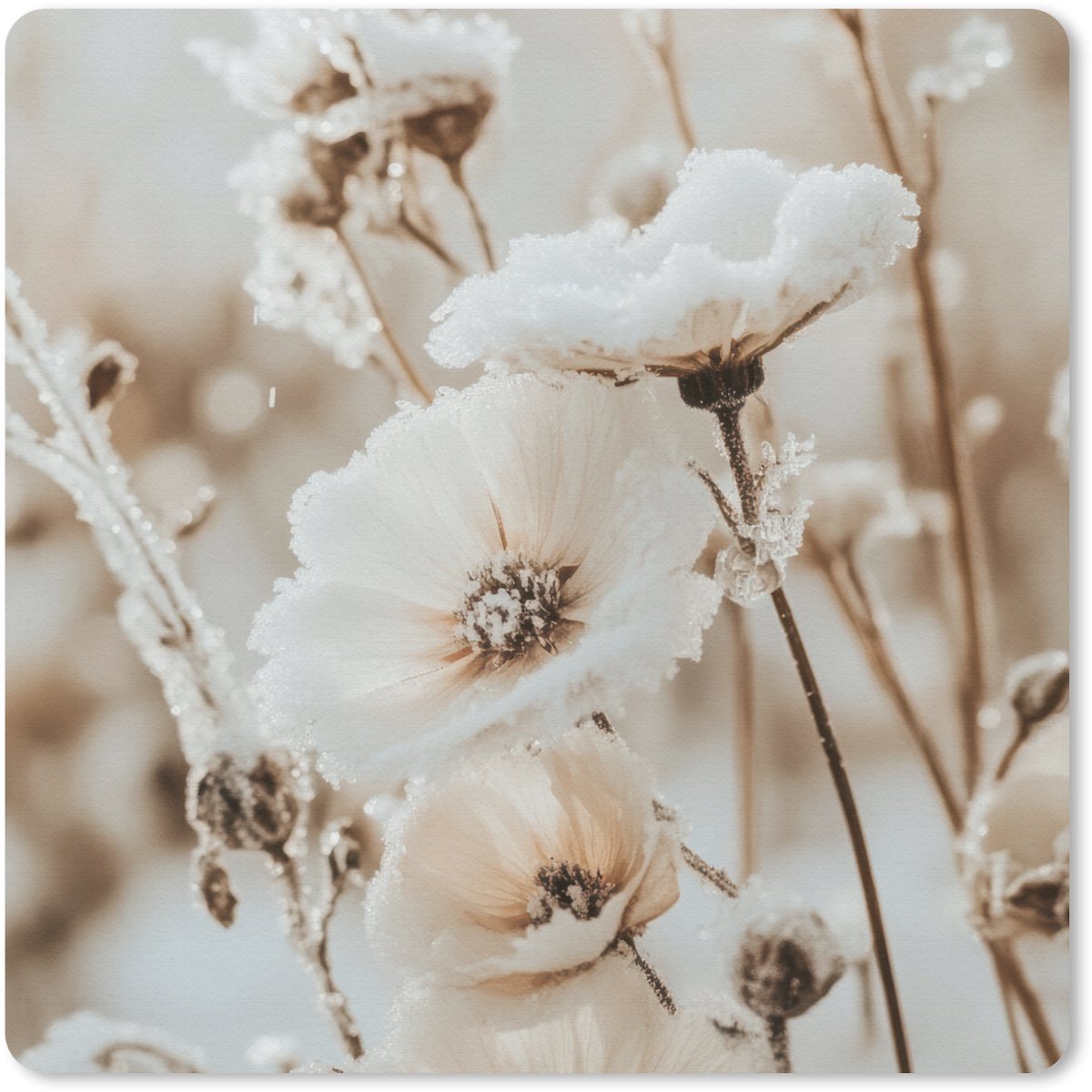 Muismat 30x30 cm - Mousepad Bloemen - Winter - Wit - Sneeuw - Beige - Muismatten