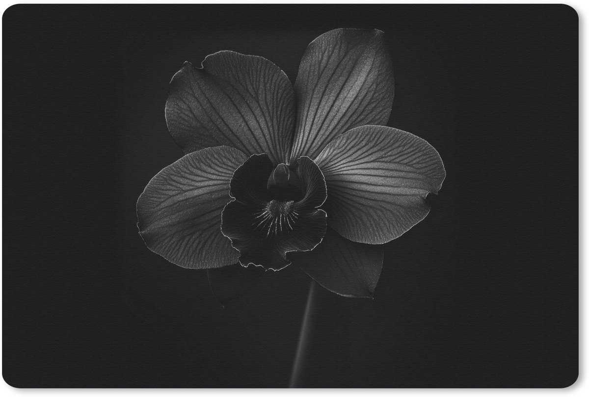 Muismat 27x18 cm - Mousepad Zwart - Bloem - Orchidee - Muismatten