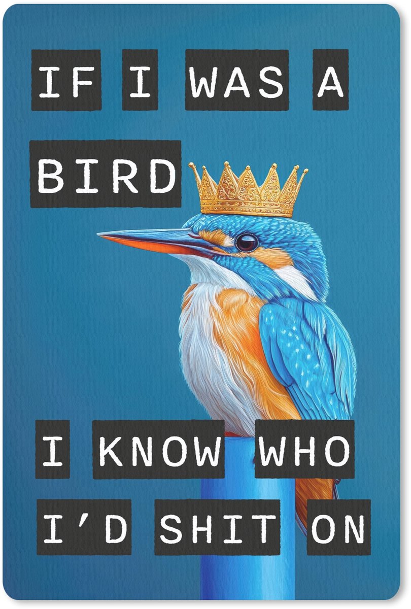 Muismat 18x27 cm - Mousepad Vogel - Decoratie - Ijsvogel - Blauw - Muismatten