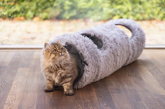 Een cyperkat met tabby-patroon kijkt omhoog vanuit een grijze, pluizige kattentunnel.