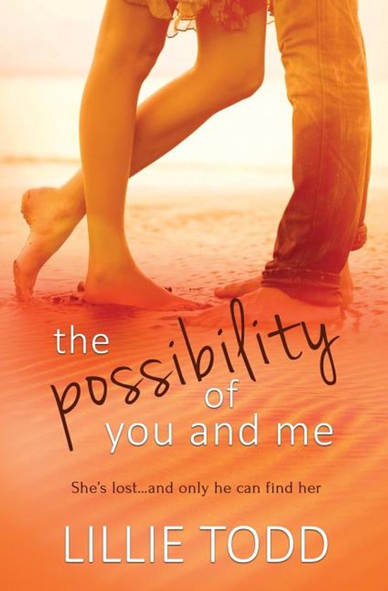 The Possibility of You and Me - cover