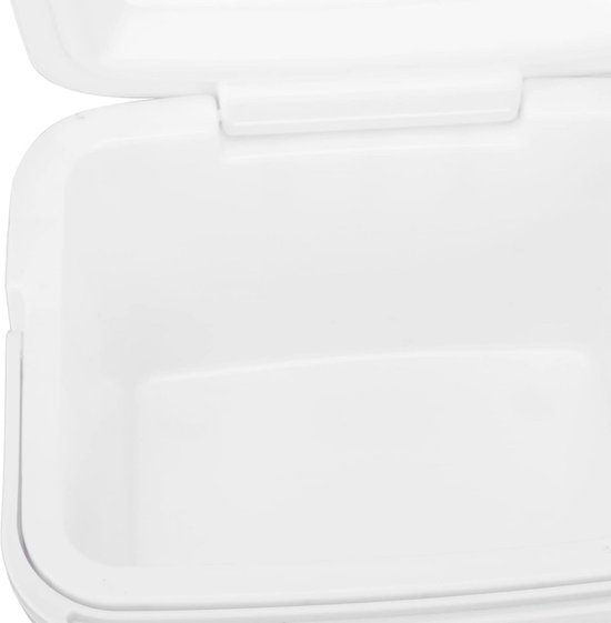 5L Draagbare Koelbox voor Voedsel en Geneeskunde - Lange Draagbare Isolatie voor Auto, Strand, Camping en Vissen — afbeelding 5