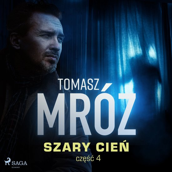 Szary cień - cover