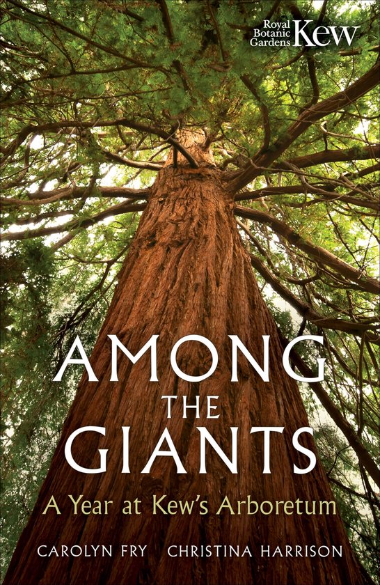 Among the Giants - cover