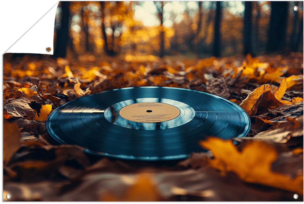 Vintage vinyl in herfstbladeren - Vinyl poster - Tuinversiering plaat - Kantoor - Buitenmu