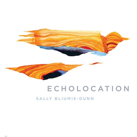 Echolocation - cover
