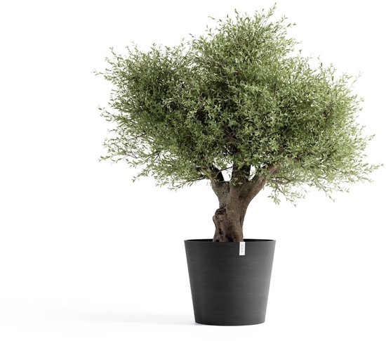 Ecopots Amsterdam 70 - Gris foncé - Ø70 x H61,3 cm - Pot de fleurs rond gris foncé