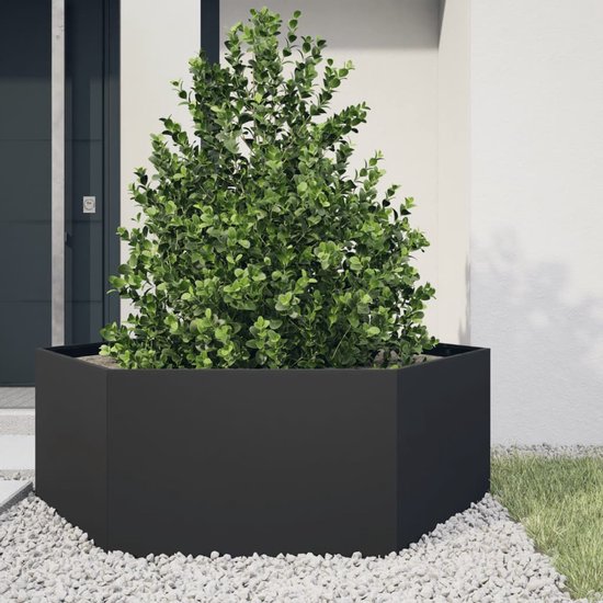 The Living Store Jardinière hexagonale 138x120x45 cm acier noir - Pot de fleurs - Jardinière - Décoration de jardin - Jardinière en métal - Jardinière hexagonale