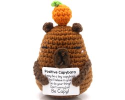 Positive Capybara - Positieve Vriendjes - Capibara - 11cm - Cadeau Artikel - Gehaakt Poppetje