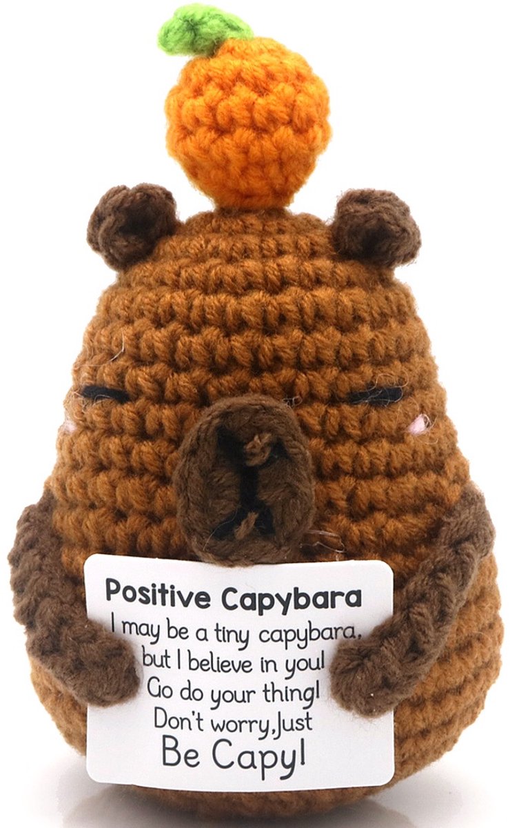 Positieve geschenken Capybara knuffeldier, Pocket Hug Capybara pop, grappige positieve Capybara pluche, creatieve breiwol Capibara pop, met sleutelhanger, gehaakte emotionele ondersteuning cadeau