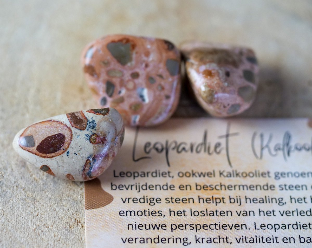 GemsByShy Leopardiet Trommelsteen, edelsteen - Perfect cadeau voor mannen en vrouwen - Inclusief uitleg - Spiritueel - Kalkooliet - Bescherming - Aardend - Beschermend - Kracht - Vitaliteit - Balans - 100% NATUURLIJK