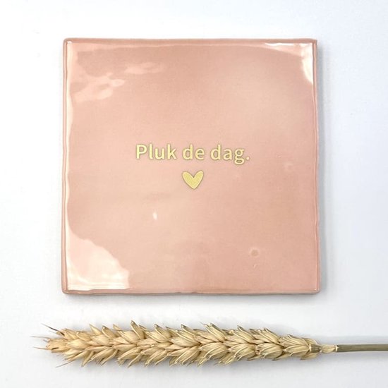 Tuile - « Saisissez le jour » (rose)