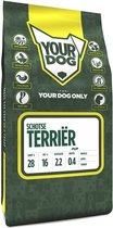 Yourdog schotse terriër pup - 3 KG