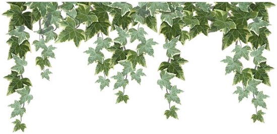 Muursticker - 40 * 60 cm - Muur decoratie - woonkamer decoratie muur - groen - PVC - voor woonkamer slaapkamer