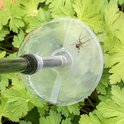 Spinnenval met lange steel, boven groen gebladerte, met een spin in de transparante trechter.
