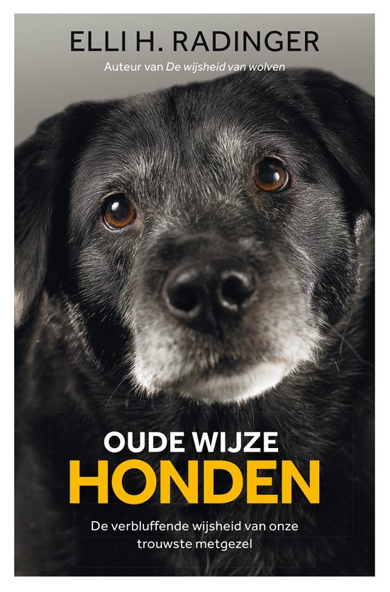 Oude wijze honden - cover