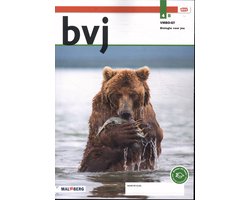 bvj 4B vmbo-gt