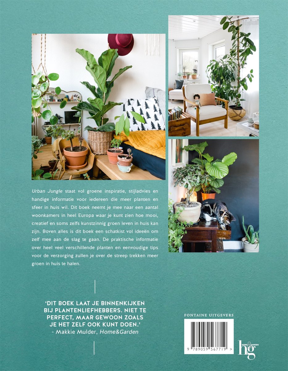 Urban Jungle - back cover