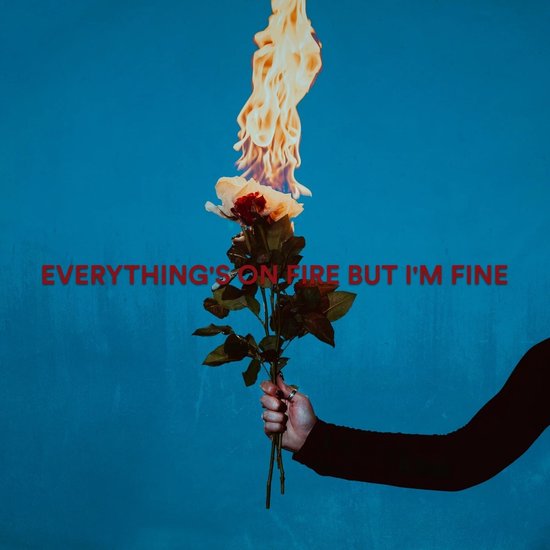 As December Falls - Everythings On Fire But Im Fine (CD)