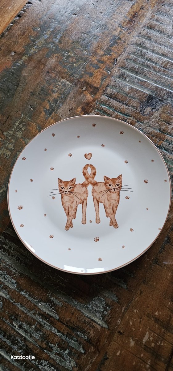 Katdootje - Etensbord - Kattenliefde