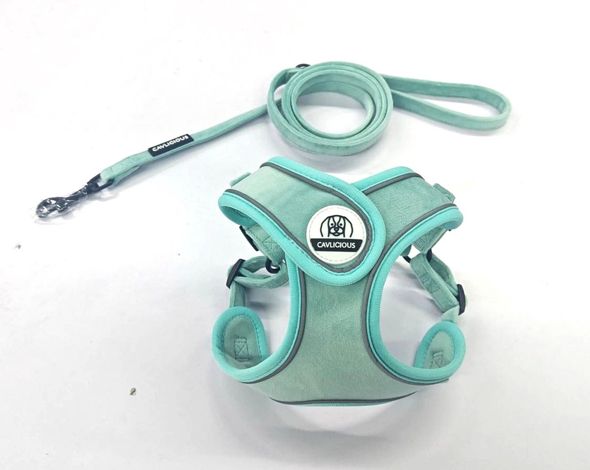 Cavlicious® X-tra hondentuigje en leiband set - kleine hond - fluweel - turquoise - M