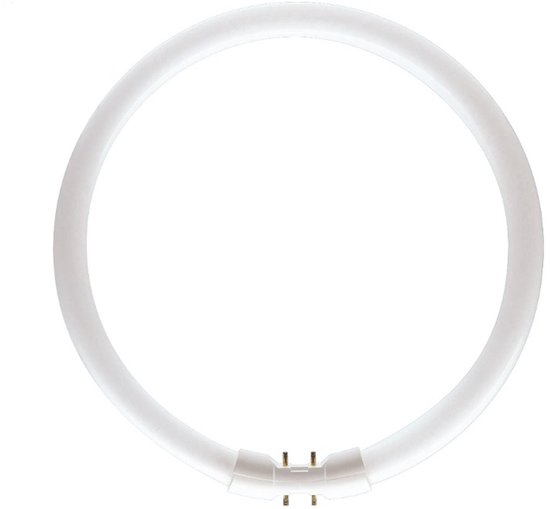 Een witte, ringvormige TL-buis met vier pinnen.