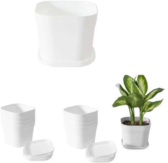 Calathea Begonia In Een Pot Met Zwarte Lijntjes Cartoon Stijl Kurkplankplanten Voor Huisbloemen Interieurdoeleinden Het Kleuren 253699330
