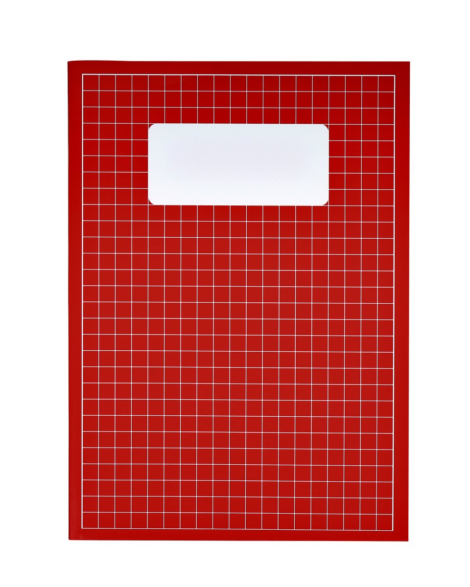 Schrift qbasic a4 ruit 10mm 80blz 70gr assorti | 5 stuks