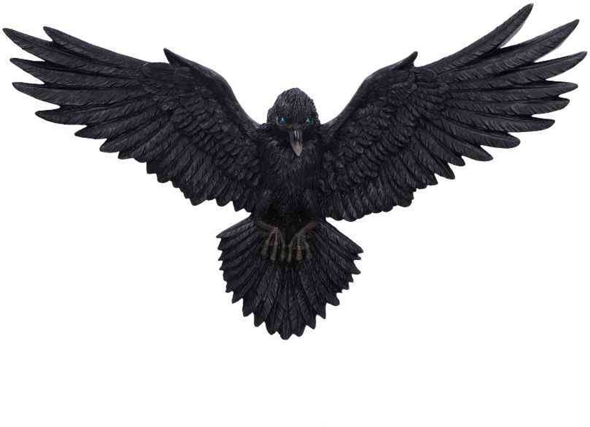 Nemesis Now - Flight of the Raven Muurdecoratie - Zwart