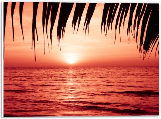 PVC Schuimplaat - Palmbladeren Hangend boven Zee met Rode Gloed - 40x30 cm Foto op PVC Schuimplaat (Met Ophangsysteem)