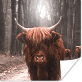 Poster Schotse hooglander - Bos - Koe - Dieren - Natuur - 100x100 cm XXL