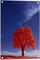 Tuinposter – Landcshap - Boom - Wolken - Gras - Oranje - 50x75 cm Foto op Tuinposter (wanddecoratie voor buiten en binnen)