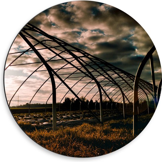 Dibond Muurcirkel - Kas - Bloemen - Planten - Gras - Landschap - 50x50 cm Foto op Aluminium Muurcirkel (met ophangsysteem)