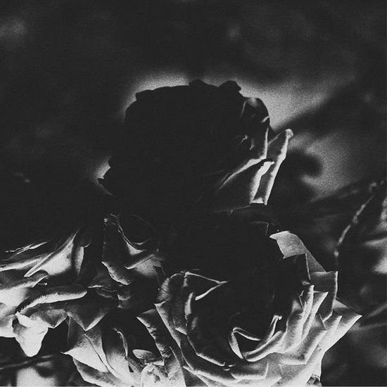 Hexis/Telos, Hexis & Telos Muziek