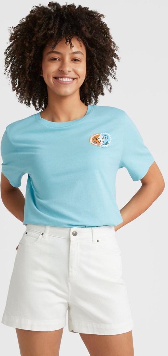 O’neill Shorts DIVE TWILL SHORTS Wit