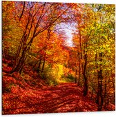 Dibond - Bospad Bedolven onder Rode Herfstbladeren in Herfstbos - 100x100 cm Foto op Aluminium (Met Ophangsysteem)