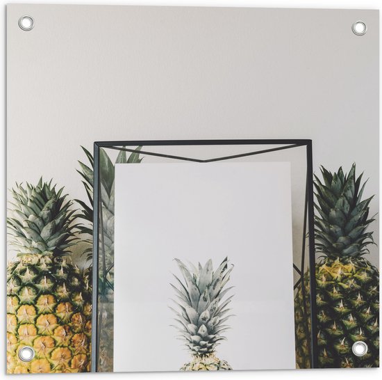 Tuinposter – Lijst met Ananas en Ananassen ernaast - 50x50 cm Foto op Tuinposter (wanddecoratie voor buiten en binnen)
