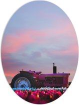 PVC Schuimplaat Ovaal - Felroze Tractor Geparkeerd in het Bloemenveld - 60x80 cm Foto op Ovaal (Met Ophangsysteem)