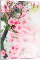 Tuinposter – Boom - Bloesem - Bloemen - Roze - 80x120 cm Foto op Tuinposter (wanddecoratie voor buiten en binnen)