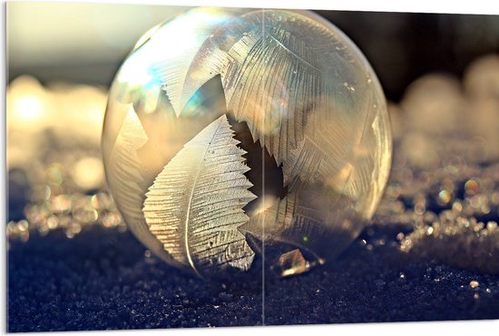 Acrylglas - Bol - Glas - Bladeren - Steentjes - Kleuren - 120x80 cm Foto op Acrylglas (Met Ophangsysteem)