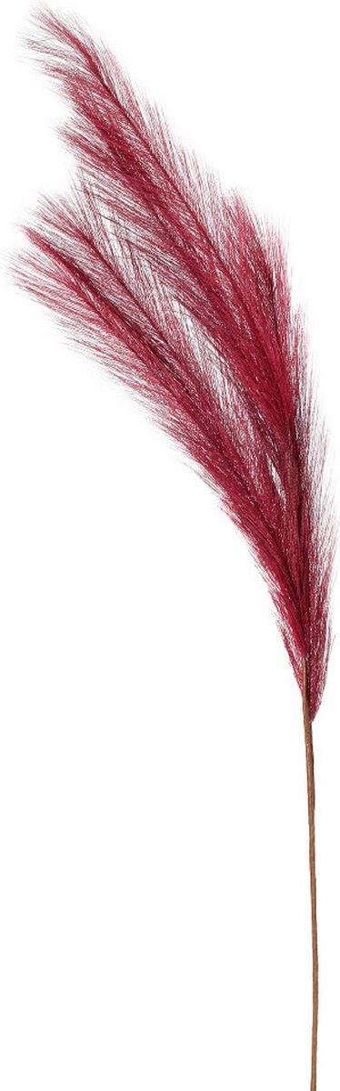 Kunstgras/rietgras/stengels/losse steel - pluimen pampasgras - donkerrood - 80 cm