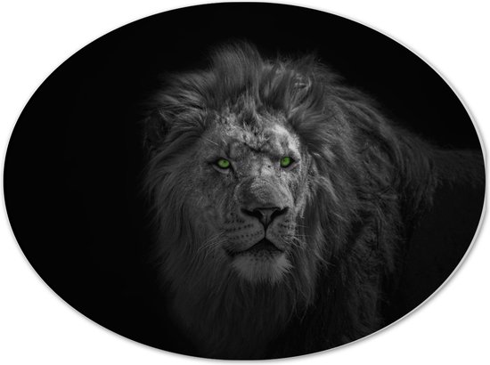 Dibond Ovaal - Zwart - Witte Foto van Leeuw met Groene Ogen - 40x30 cm Foto op Ovaal (Met Ophangsysteem)