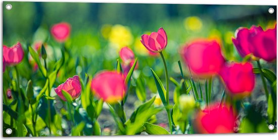 Tuinposter – Veld van Roze Bloeiende Bloemen - 100x50 cm Foto op Tuinposter (wanddecoratie voor buiten en binnen)