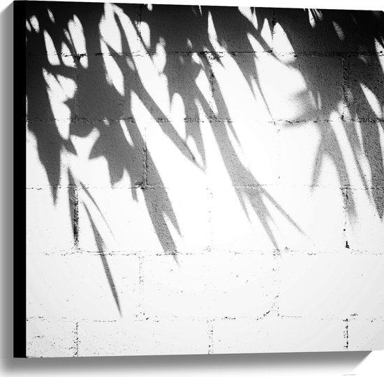 Canvas - Planten - Bladeren - Muur - Schaduw - Zwart - Wit - 60x60 cm Foto op Canvas Schilderij (Wanddecoratie op Canvas)